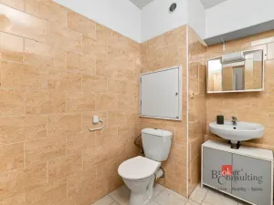 Prodej bytu 1+1, Plzeň - Severní Předměstí, Brněnská, 48 m2