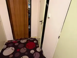 Prodej bytu 2+1, Bílina - Teplické Předměstí, M. Švabinského, 55 m2