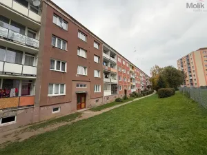Prodej bytu 2+1, Bílina - Teplické Předměstí, M. Švabinského, 55 m2