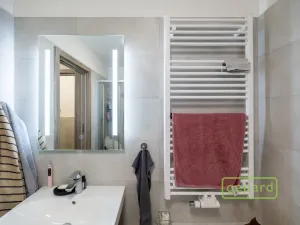 Prodej bytu 3+kk, Olomouc, Aloise Rašína, 88 m2