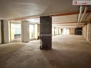 Pronájem obchodního prostoru, Praha - Nové Město, Vodičkova, 800 m2