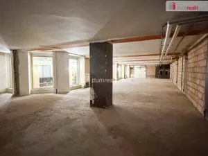 Pronájem obchodního prostoru, Praha - Nové Město, Vodičkova, 800 m2