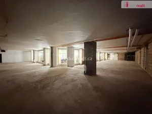 Pronájem obchodního prostoru, Praha - Nové Město, Vodičkova, 800 m2