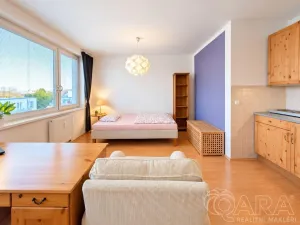 Prodej bytu 1+kk, Praha - Záběhlice, Ve slatinách, 30 m2
