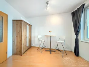 Prodej bytu 1+kk, Praha - Záběhlice, Ve slatinách, 30 m2