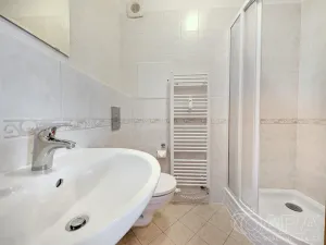Prodej bytu 1+kk, Praha - Záběhlice, Ve slatinách, 30 m2