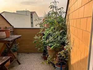 Pronájem bytu 3+kk, Brno, 62 m2