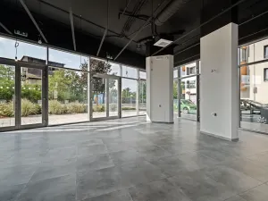 Pronájem restaurace, Praha - Holešovice, V háji, 240 m2