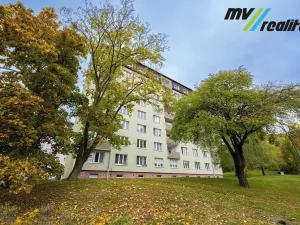 Prodej bytu 1+1, Milovice, Armádní, 33 m2