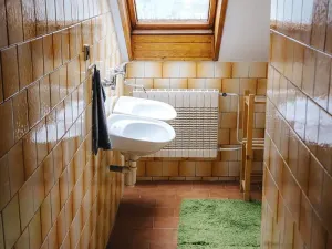 Prodej vícegeneračního domu, Bohutín, 500 m2