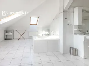 Pronájem bytu 4+1, Teplice, Potěminova, 160 m2