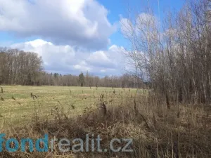 Prodej pozemku, Lužnice, 2131 m2