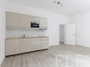 Pronájem bytu 1+kk, Praha - Smíchov, Pod Barvířkou, 32 m2