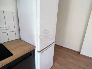 Pronájem bytu 2+kk, Brno - Štýřice, Sovinec, 42 m2