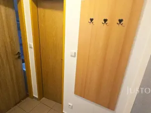 Pronájem bytu 1+kk, Písek, Přemyslova, 28 m2