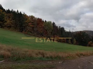 Prodej louky, Slaná, 16164 m2