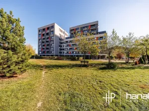 Pronájem bytu 2+1, Olomouc, gen. Píky, 63 m2
