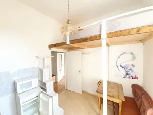 Pronájem bytu 1+1, Praha - Staré Město, U Dobřenských, 45 m2