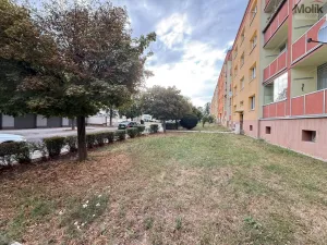 Prodej bytu 2+1, Duchcov, Sadová, 50 m2