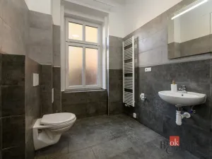 Prodej bytu 1+kk, Plzeň - Jižní Předměstí, Krátká, 27 m2