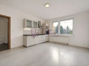 Pronájem bytu 1+kk, Jindřichův Hradec - Jindřichův Hradec III, sídliště Vajgar, 23 m2