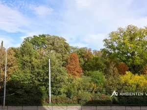 Pronájem bytu 2+kk, Brno, Lidická, 57 m2