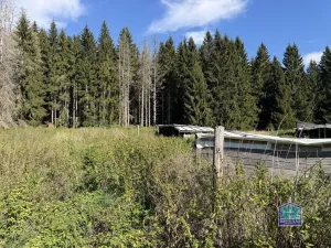Prodej louky, Lesná - Stará Knížecí Huť, 410390 m2