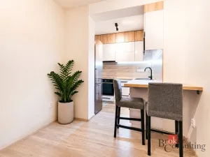 Prodej bytu 1+kk, Brno - Židenice, Vinařického, 42 m2