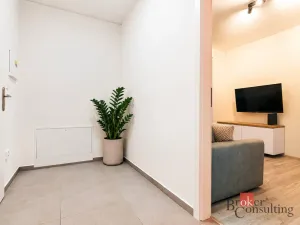 Prodej bytu 1+kk, Brno - Židenice, Vinařického, 42 m2