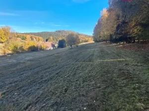 Prodej pole, Stará Ves, 8308 m2