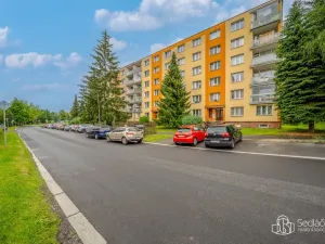Pronájem bytu 3+1, Sokolov, Švabinského, 63 m2