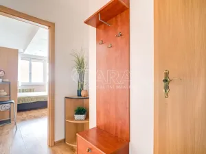 Prodej bytu 1+kk, Ostrava - Moravská Ostrava, U Parku, 29 m2