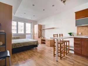 Prodej bytu 1+kk, Ostrava - Moravská Ostrava, U Parku, 29 m2