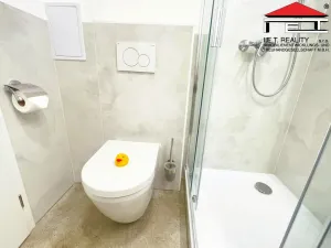 Pronájem bytu 2+kk, Ostrava - Moravská Ostrava, Dvořákova, 32 m2
