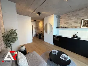 Prodej bytu 1+kk, Brno, Bratislavská, 24 m2