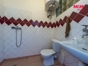 Prodej rodinného domu, Nová Ves - Vepřek, 600 m2
