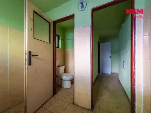 Prodej rodinného domu, Nová Ves - Vepřek, 600 m2