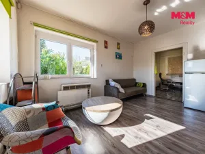 Prodej činžovního domu, Nová Ves - Vepřek, 600 m2