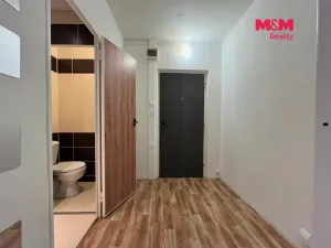 Pronájem bytu 2+kk, Most, Lidická, 33 m2