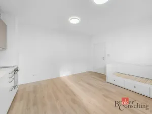 Pronájem bytu 1+kk, Plzeň - Jižní Předměstí, Železná, 28 m2