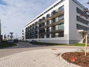 Pronájem bytu 1+kk, Plzeň - Jižní Předměstí, Železná, 28 m2