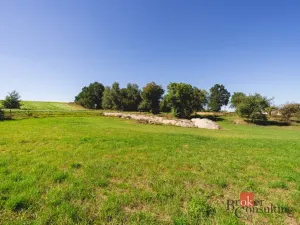 Prodej pozemku pro bydlení, Radnice - Svatá Barbora, 7544 m2