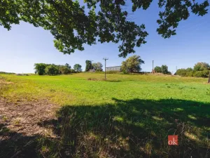 Prodej pozemku pro bydlení, Radnice - Svatá Barbora, 7544 m2