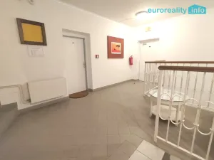 Pronájem bytu 2+1, Plzeň, Zbrojnická, 80 m2
