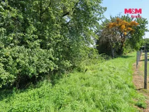 Prodej zahrady, Chlístovice, 300 m2