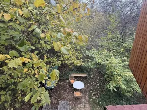 Prodej chaty, Číchov, 45 m2