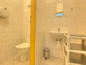 Prodej obchodního prostoru, Studenec, 265 m2