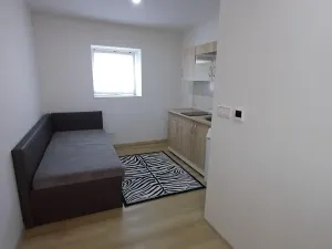 Pronájem bytu 1+kk, Čelákovice - Záluží, Vořechovka, 24 m2