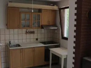 Prodej ostatní, Heřmanův Městec, Na Ježkovce