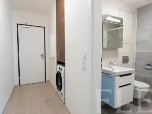 Pronájem bytu 1+kk, Praha - Žižkov, Hartigova, 32 m2